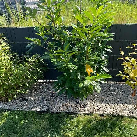 Meerwunder Ferienhaus