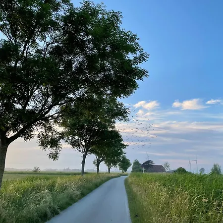 Meerwunder Ferienhaus Schillig