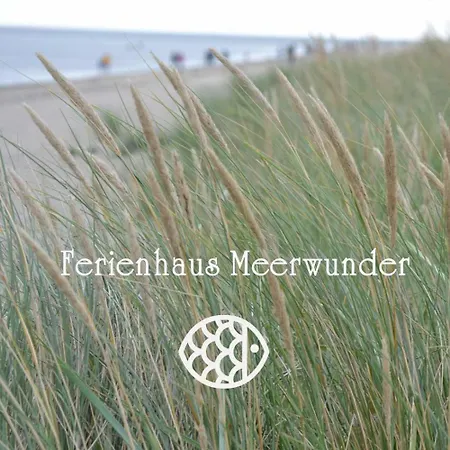 Meerwunder * Schillig