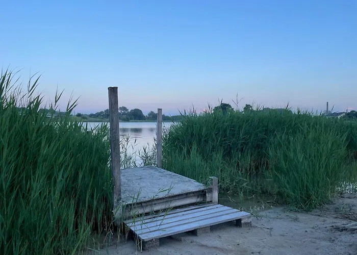 Meerwunder Шиллиг