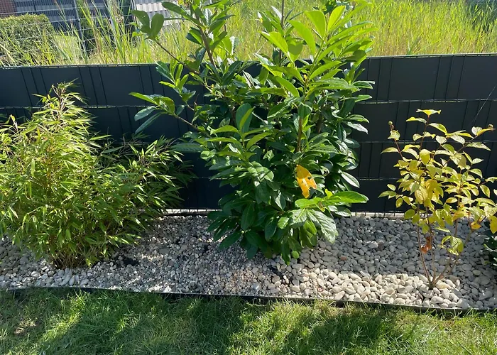 Meerwunder Дом отдыха