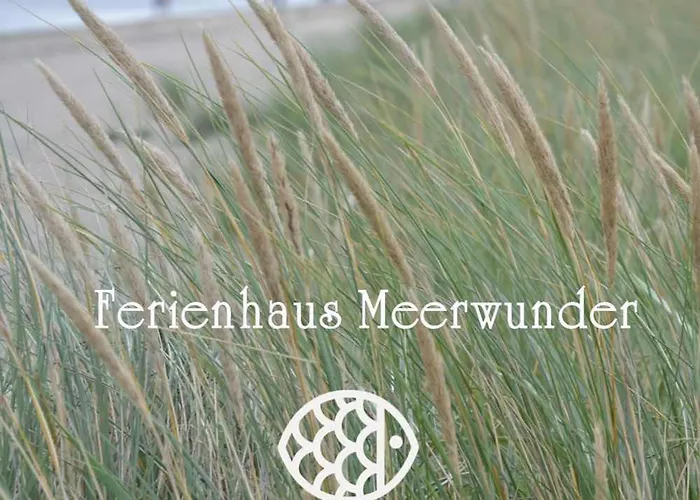 Meerwunder * Шиллиг